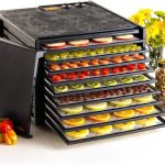 Excalibur 4926T BLK Dörrgerät 600W Polycarbonat